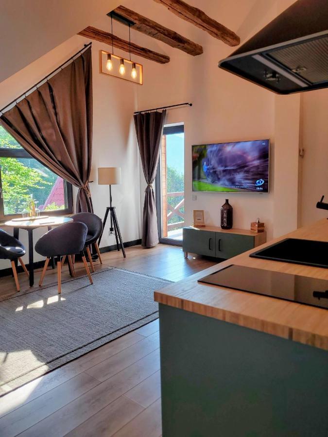 Casa Larisa Antonia Apartments シナヤ エクステリア 写真