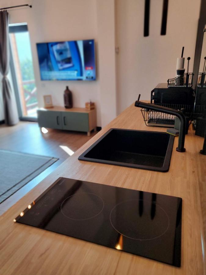 Casa Larisa Antonia Apartments シナヤ エクステリア 写真