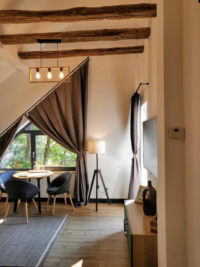 Casa Larisa Antonia Apartments シナヤ エクステリア 写真