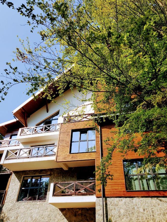 Casa Larisa Antonia Apartments シナヤ エクステリア 写真