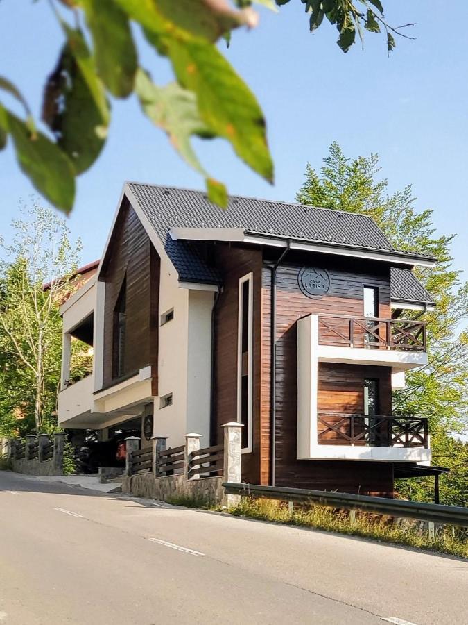 Casa Larisa Antonia Apartments シナヤ エクステリア 写真