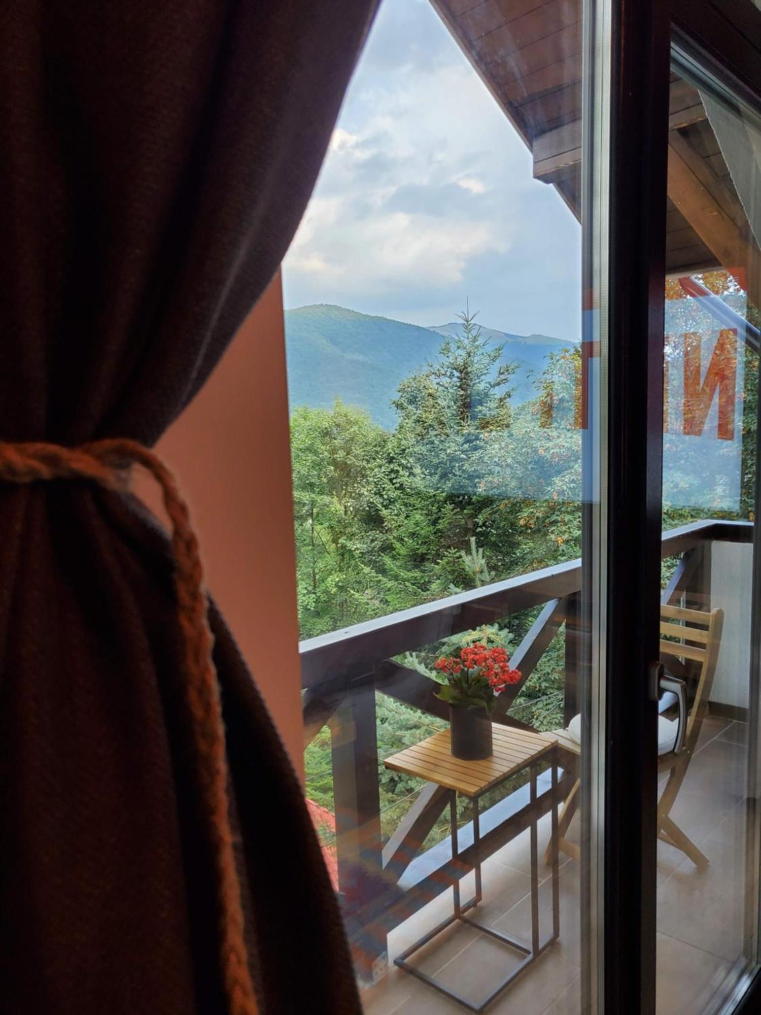 Casa Larisa Antonia Apartments シナヤ エクステリア 写真